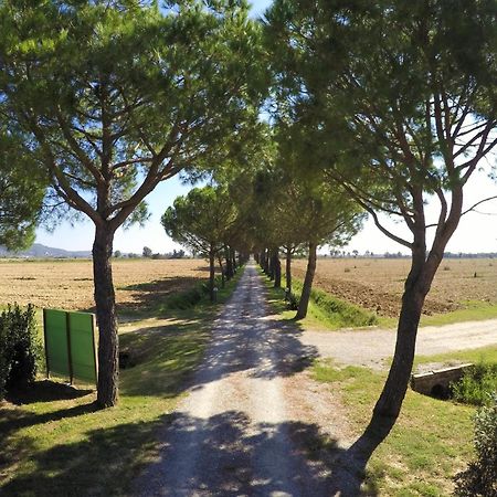 Terra Di Cortona Vila Exterior foto