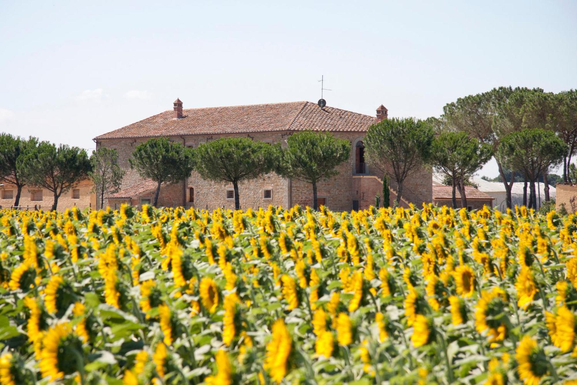 Terra Di Cortona Vila Exterior foto