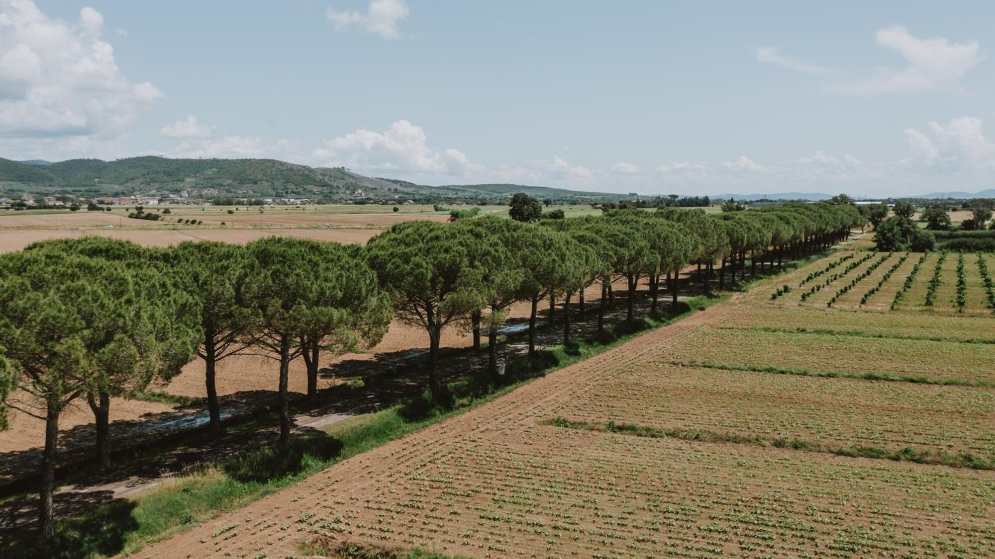 Terra Di Cortona Vila Exterior foto