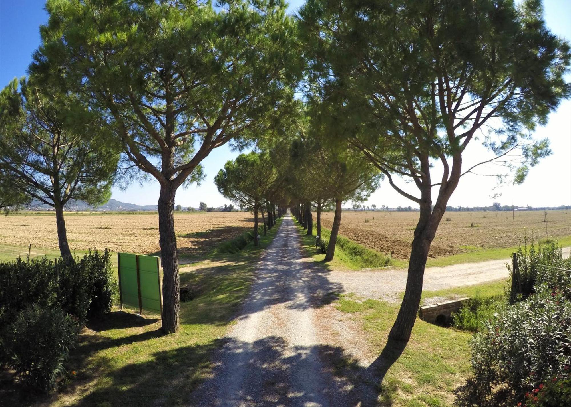 Terra Di Cortona Vila Exterior foto